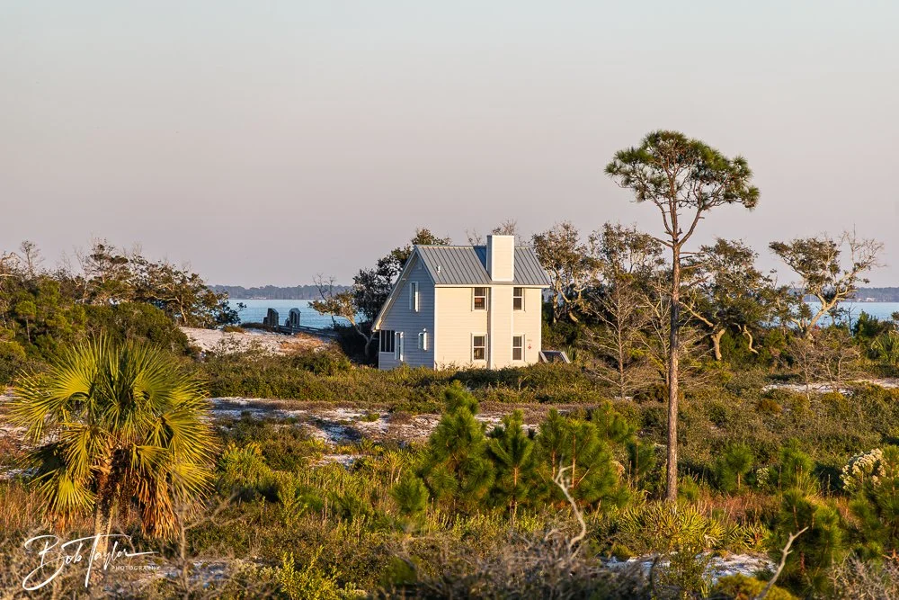 20251114-Cape San Blas All -242.jpg