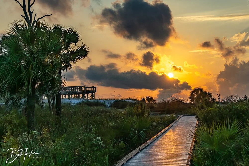 20251109-Cape San Blas All -16.jpg