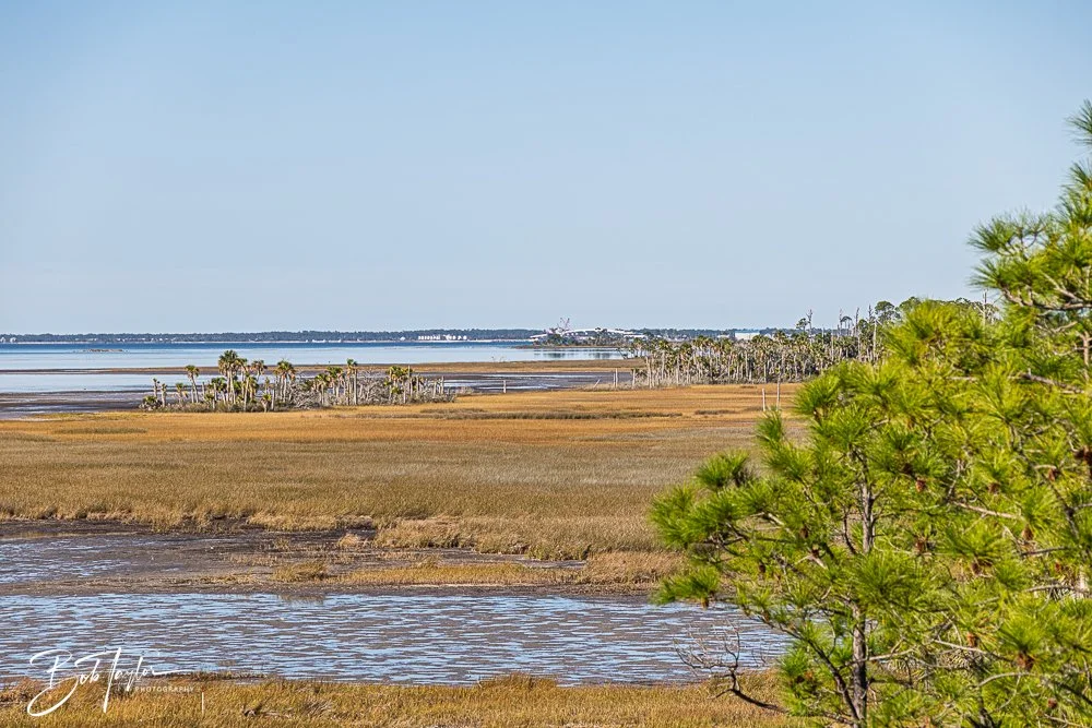 20251112-Cape San Blas All -108.jpg