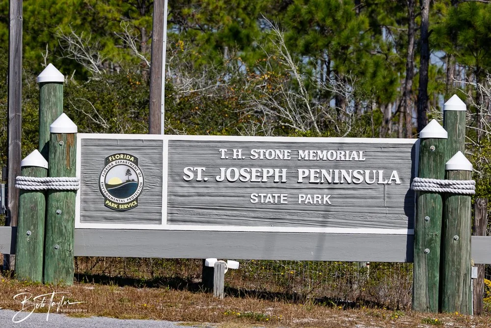 20251114-Cape San Blas All -192.jpg