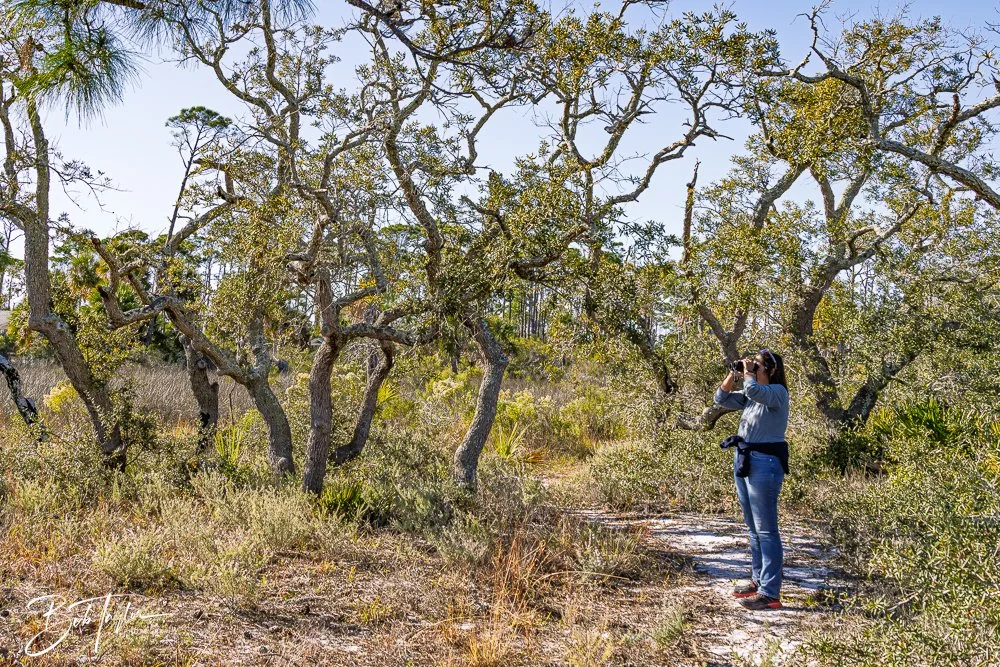 20251111-Cape San Blas All -59.jpg