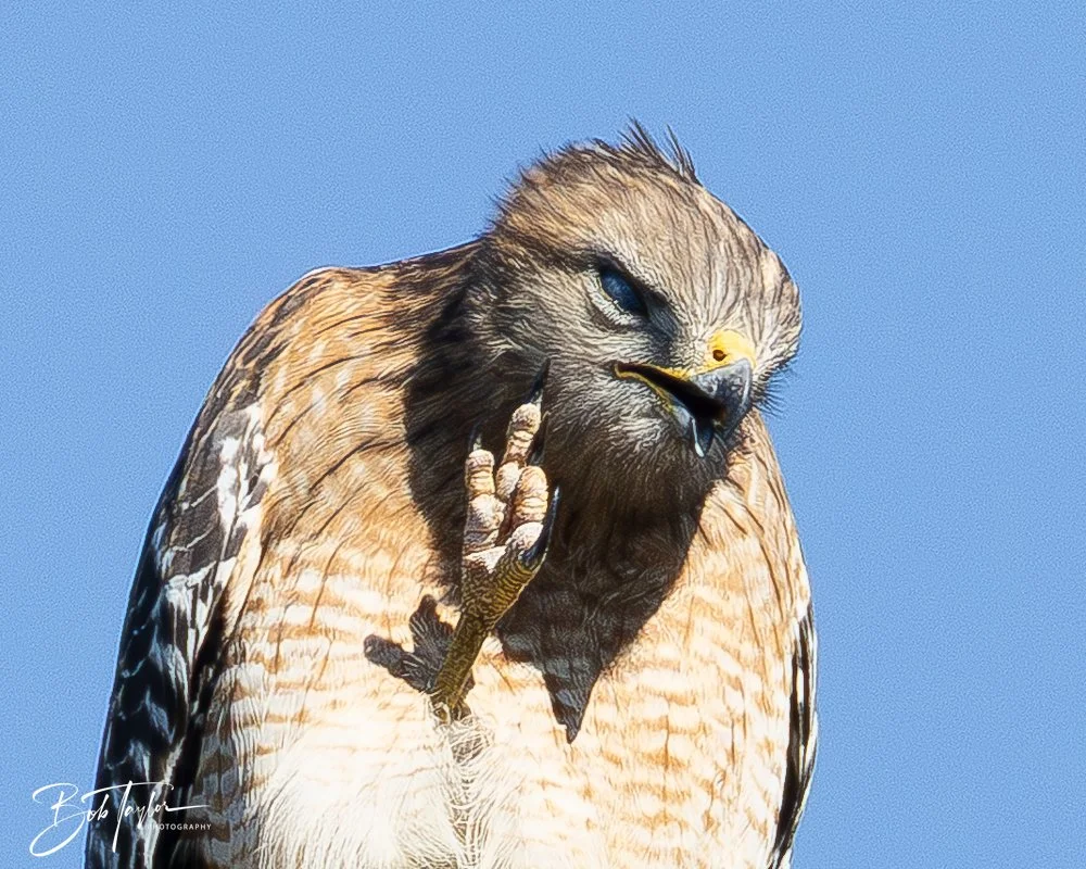 20251112-Cape San Blas All -100.jpg