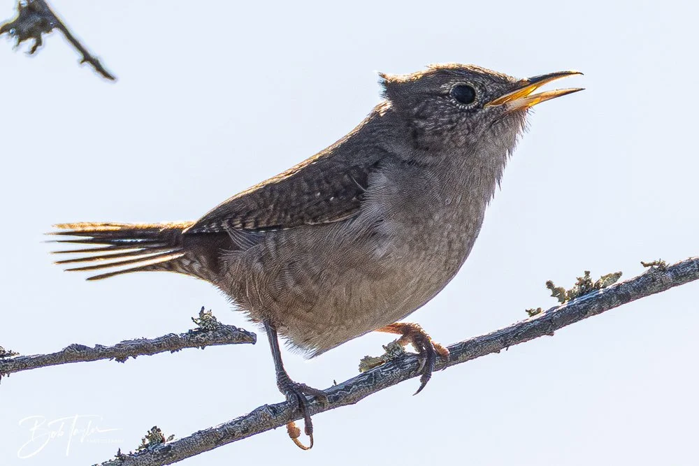 20251114-Cape San Blas All -174.jpg
