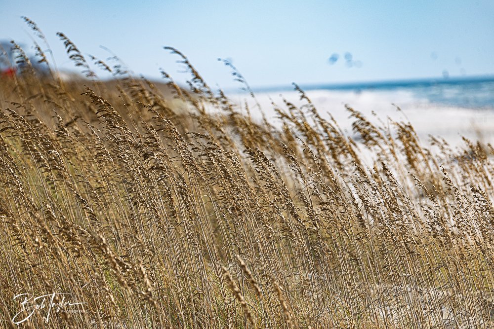 20251109-Cape San Blas All -1.jpg