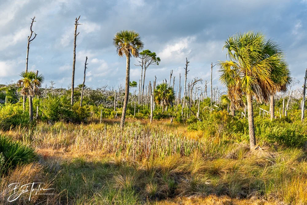 20251109-Cape San Blas All -6.jpg