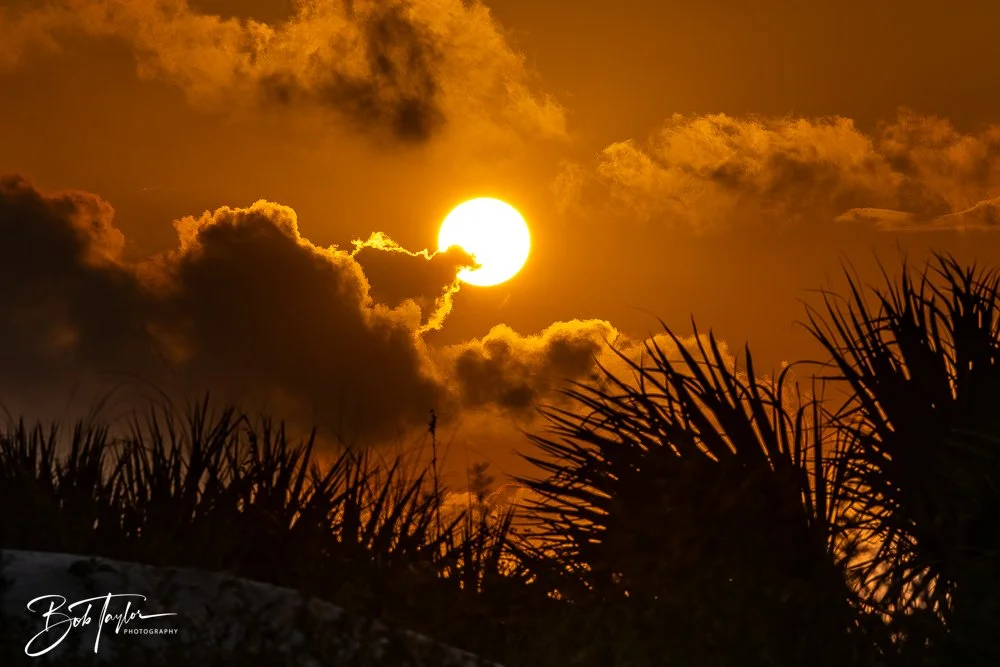 20251109-Cape San Blas All -18.jpg