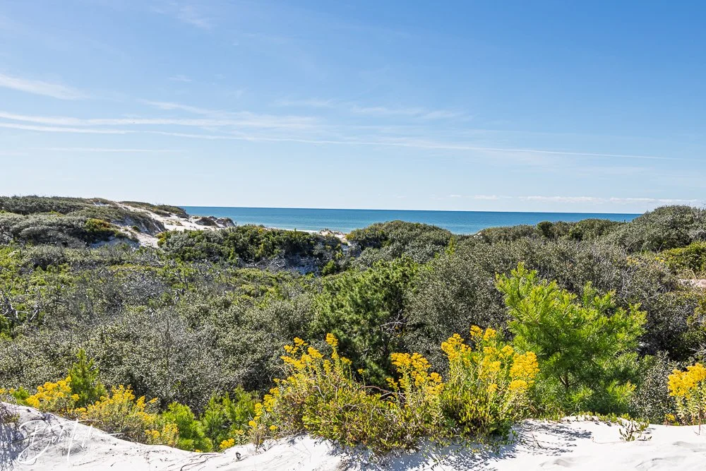 20251112-Cape San Blas All -72.jpg