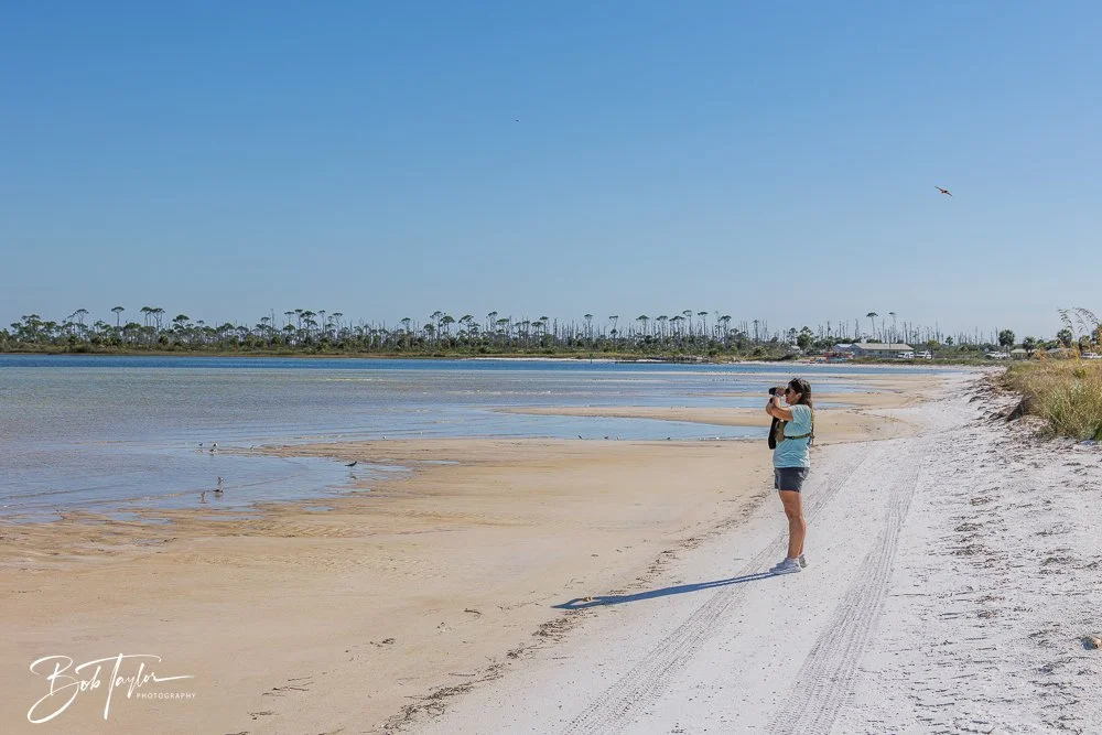 20251113-Cape San Blas All -143.jpg