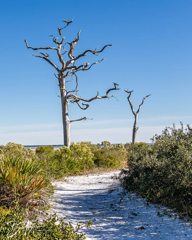 20251111-Cape San Blas All -54.jpg