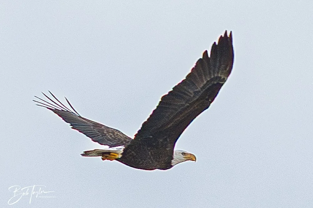 20251109-Cape San Blas All -10.jpg