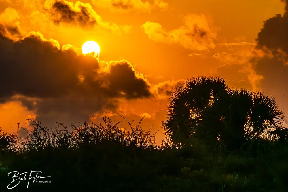20251109-Cape San Blas All -17.jpg