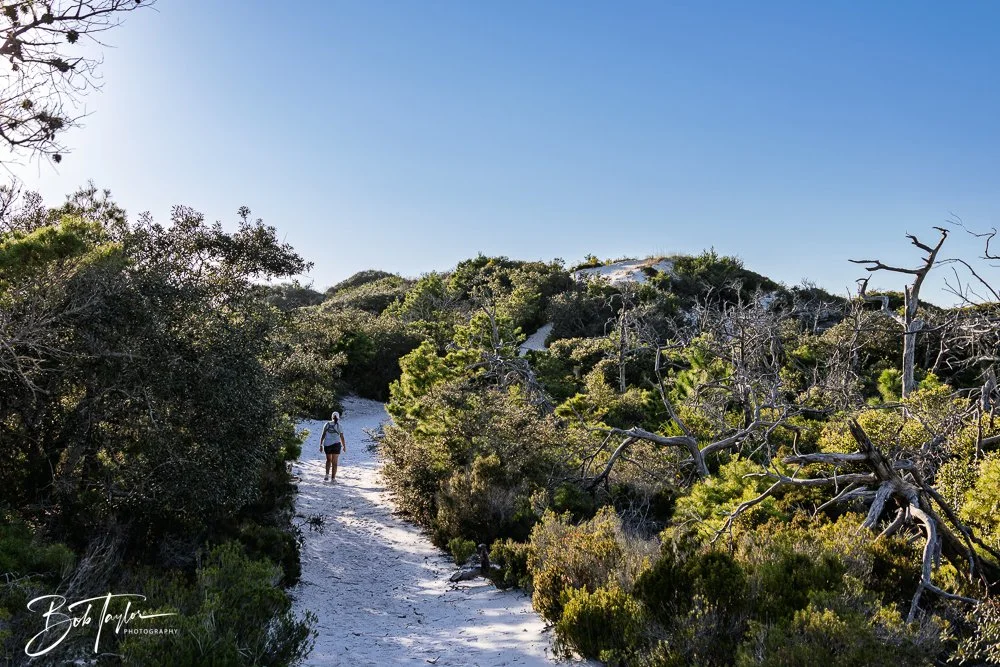 20251114-Cape San Blas All -232.jpg