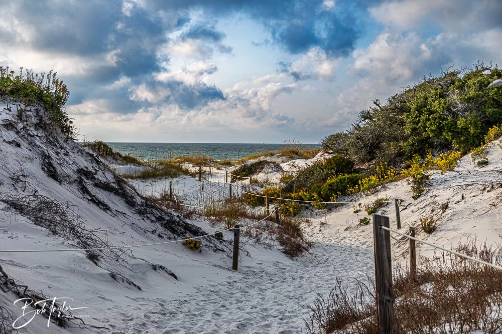 20251109-Cape San Blas All -7.jpg