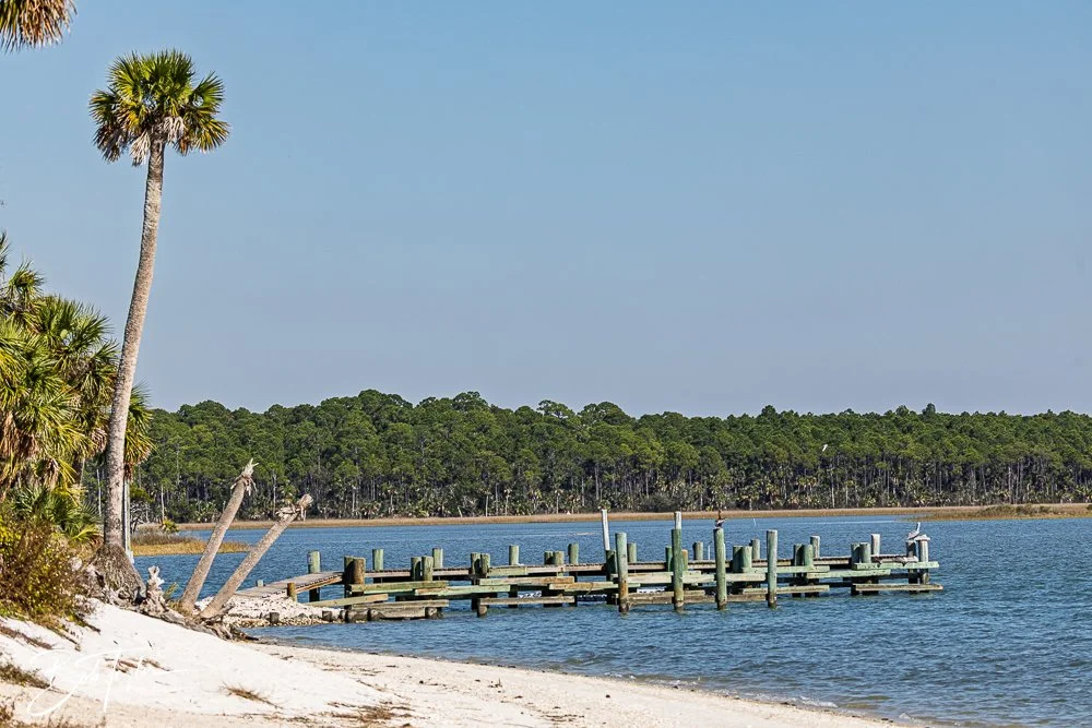 20251114-Cape San Blas All -188.jpg