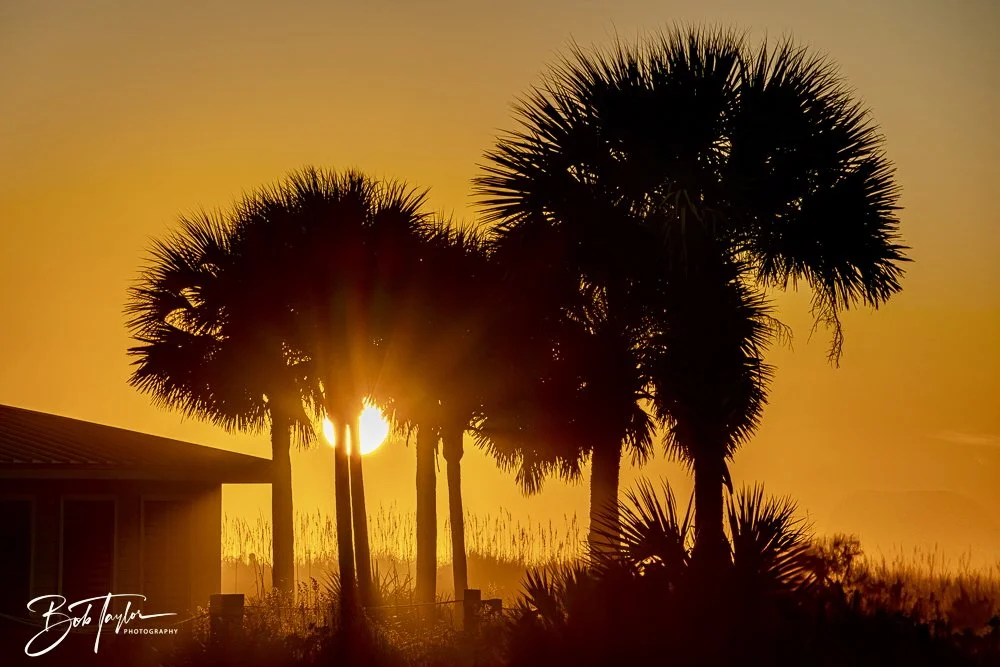 20241229-12-29-24 SASP -24.jpeg