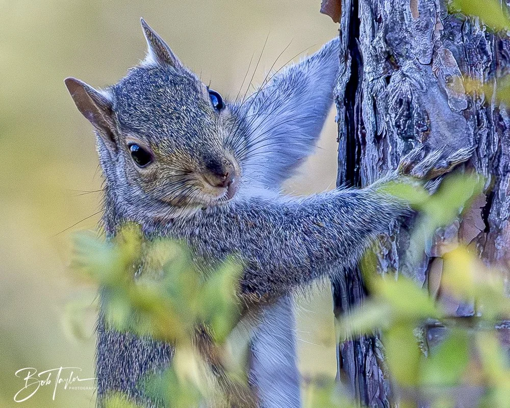 20241201-SASP 12-01-24 -28.jpeg