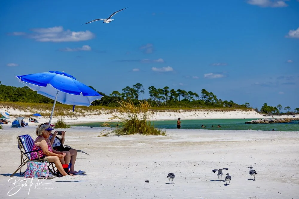 20240823-08-23-24 SASP -34.jpeg