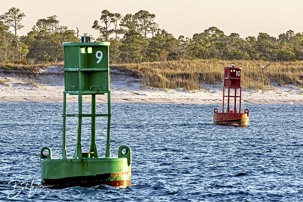 20241229-12-29-24 SASP -13.jpeg