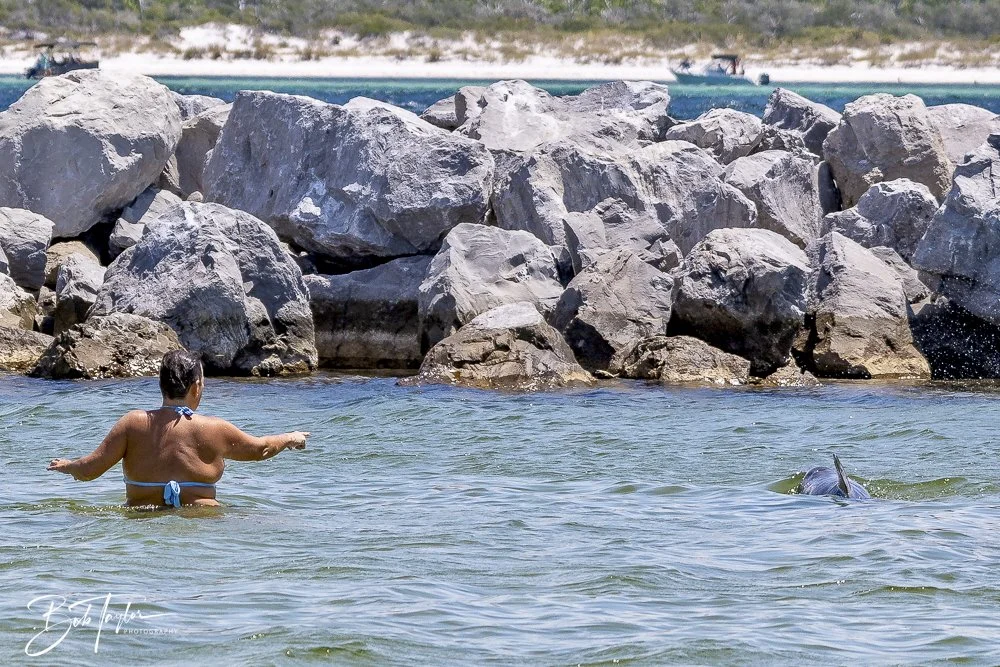 20240823-08-23-24 SASP -37.jpeg