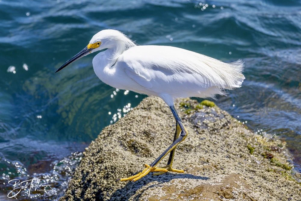 20240823-08-23-24 SASP -16.jpeg