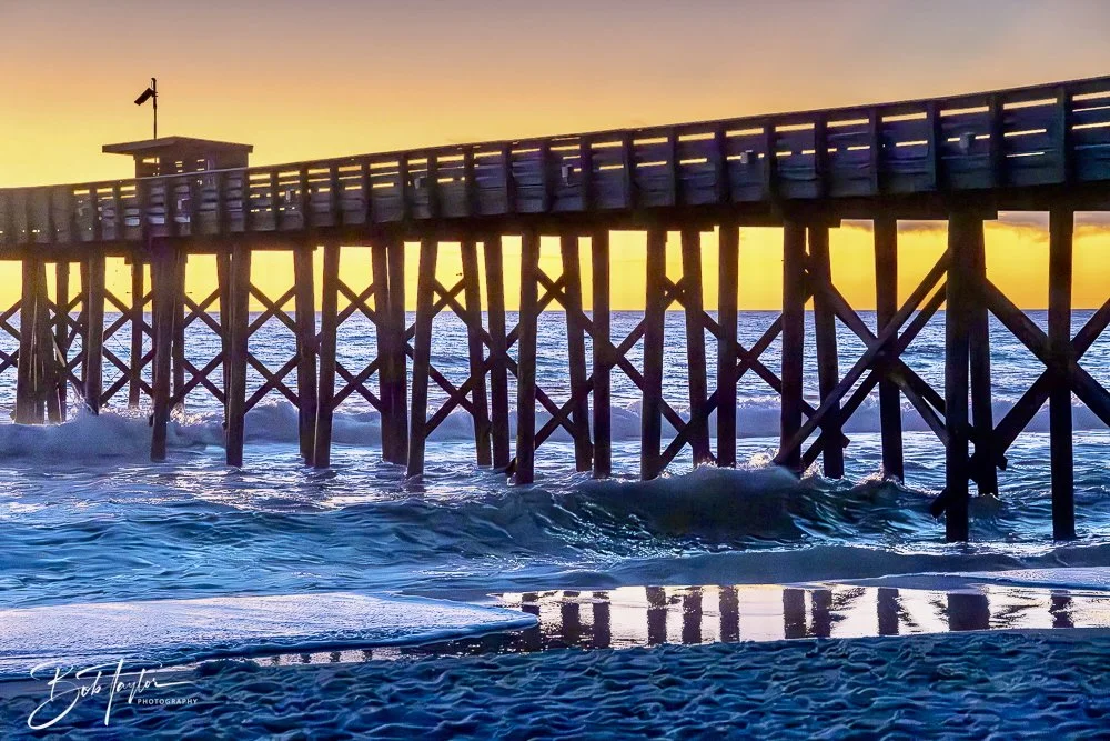 20241229-12-29-24 SASP 2 -4.jpeg