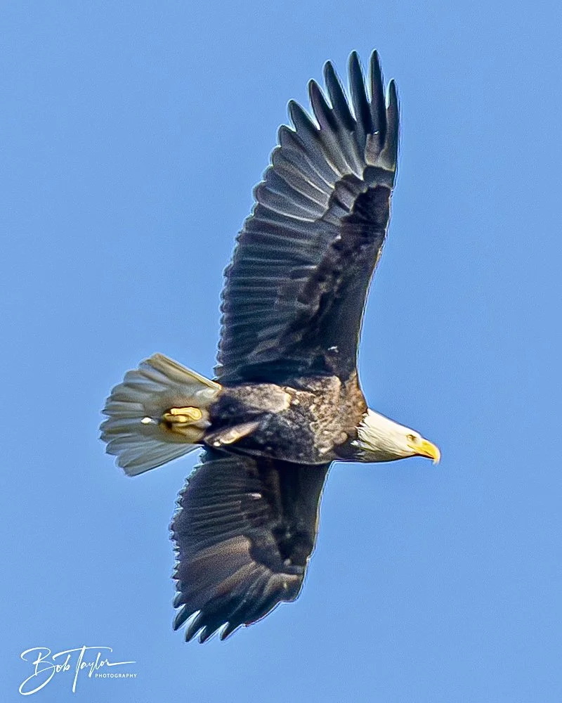 20241201-SASP 12-01-24 -41.jpeg