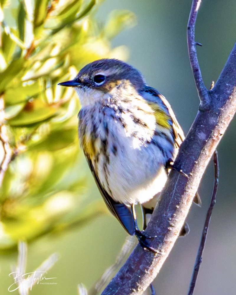 20241201-SASP 12-01-24 -15.jpeg