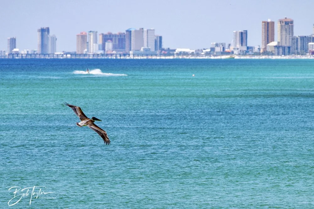 20240823-08-23-24 SASP -51.jpeg