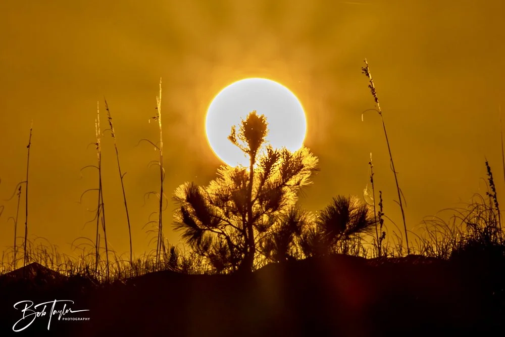 20241229-12-29-24 SASP -21.jpeg