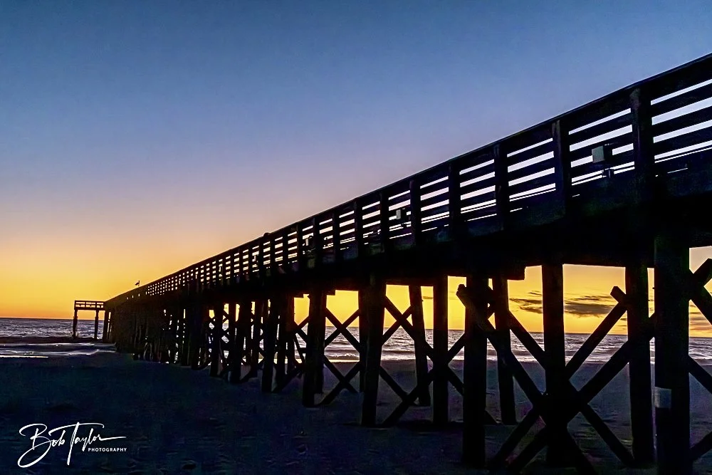 20241229-12-29-24 SASP -36.jpeg