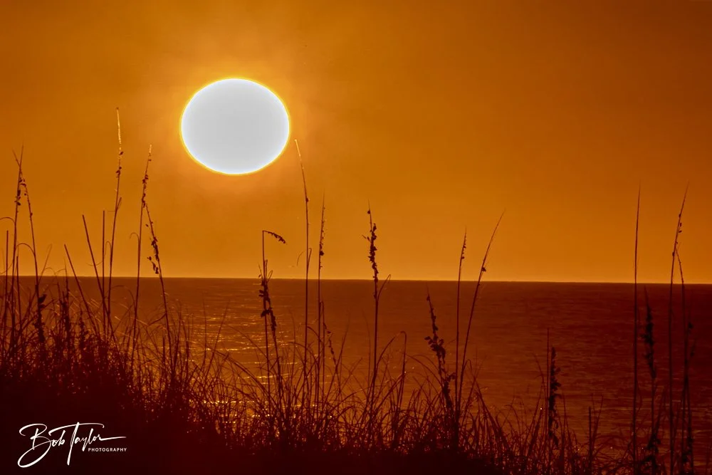 20241229-12-29-24 SASP -27.jpeg