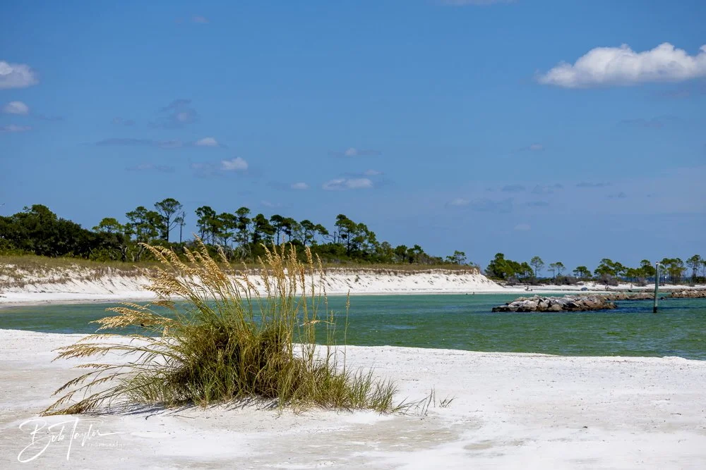 20240823-08-23-24 SASP -35.jpeg