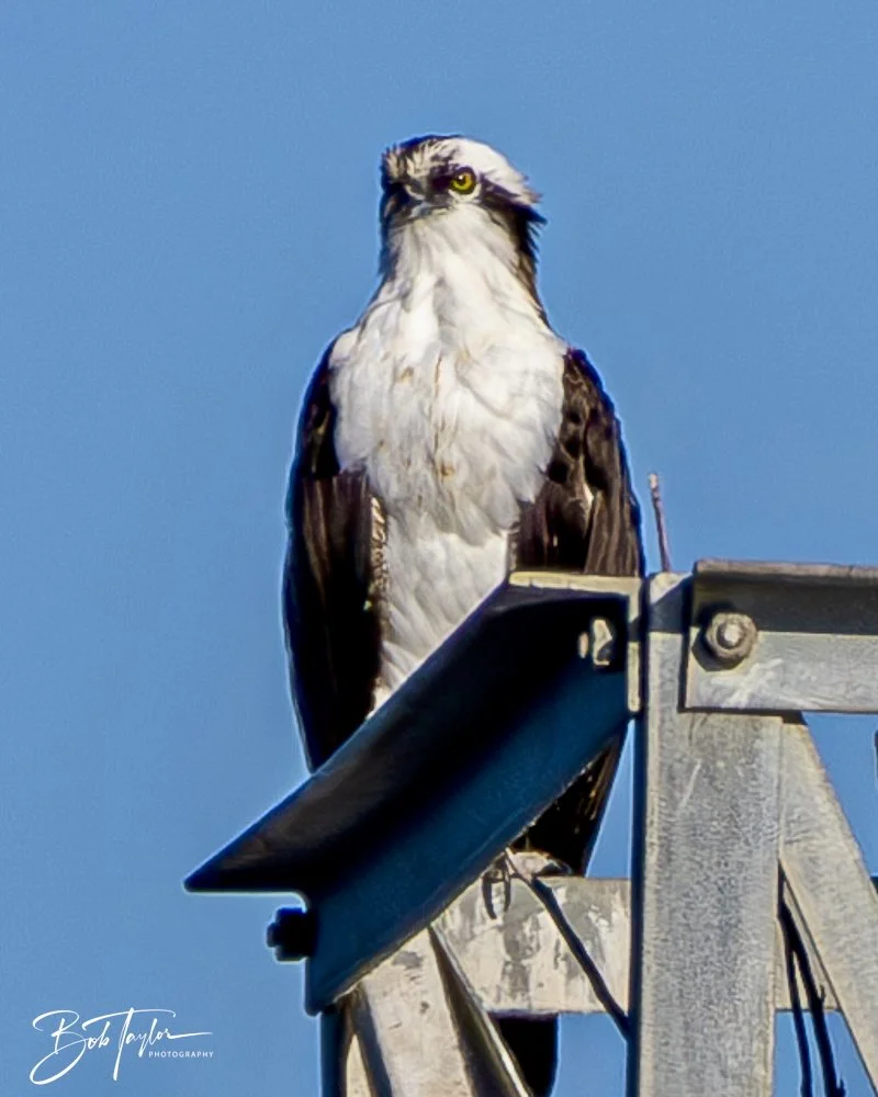 20241201-SASP 12-01-24 -42.jpeg