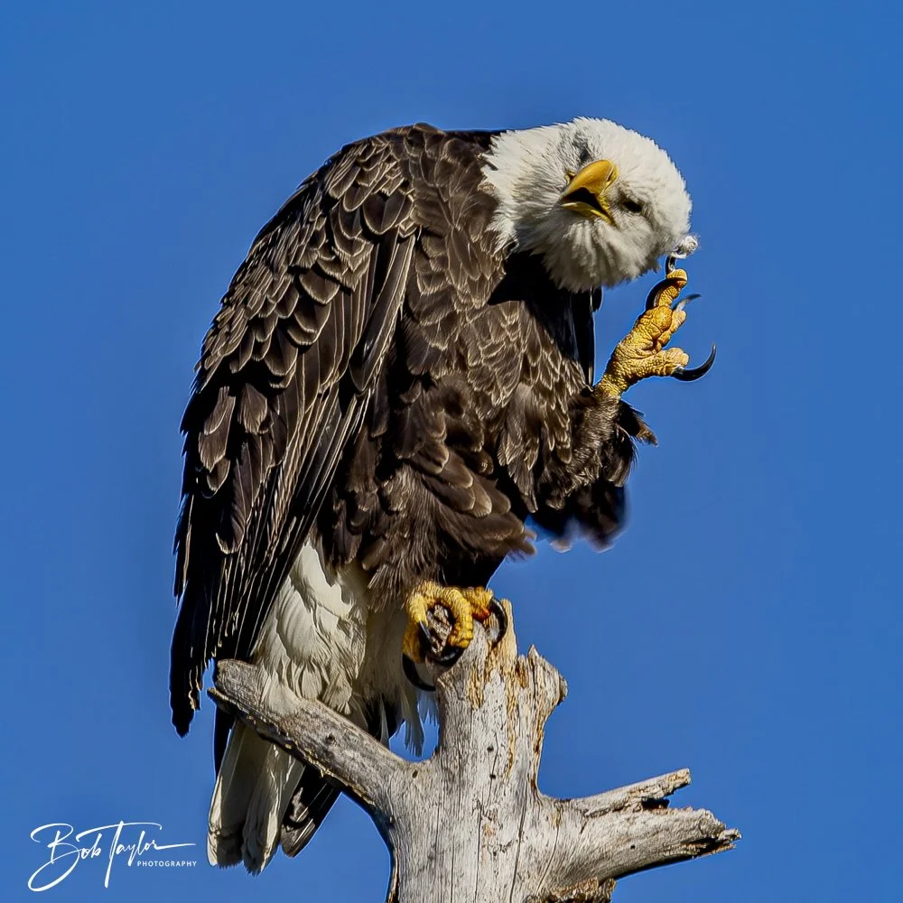 20241201-SASP 12-01-24 -29.jpeg