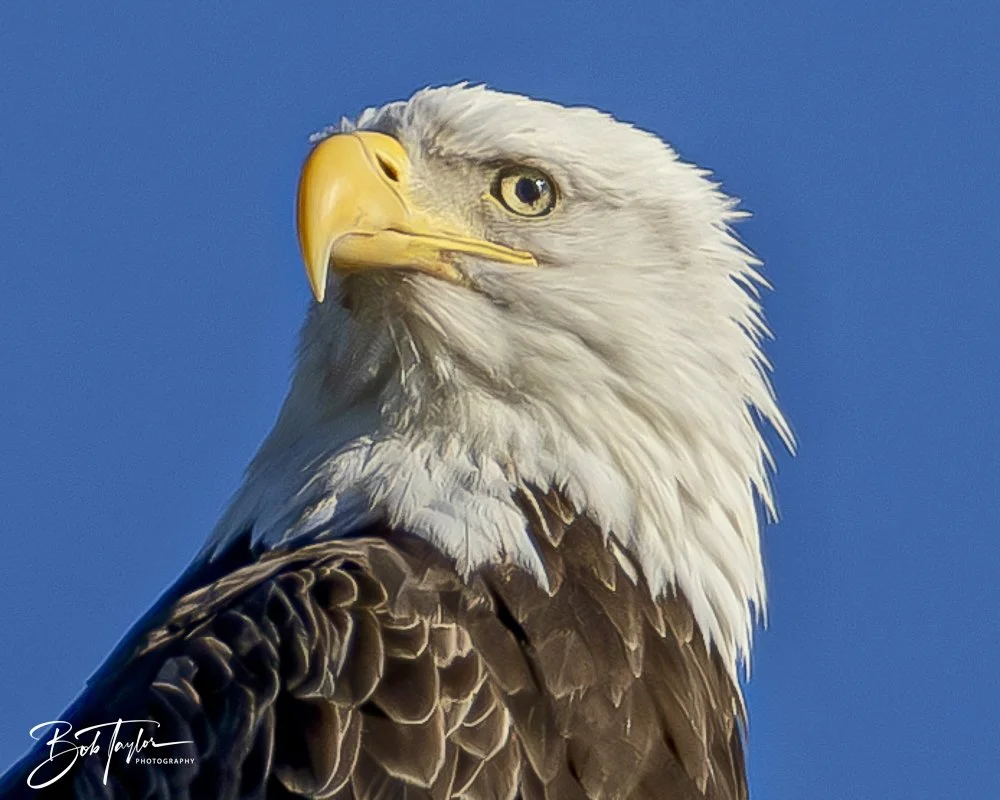 20241201-SASP 12-01-24 -11.jpeg