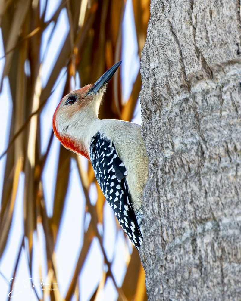 20241229-12-29-24 SASP -2.jpeg