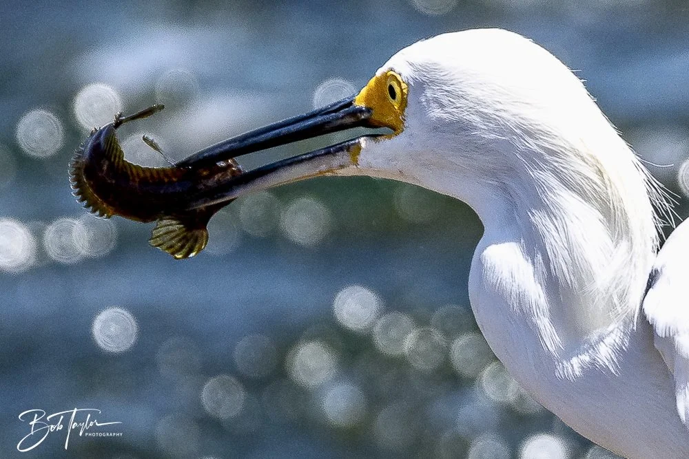 20240823-08-23-24 SASP -25.jpeg