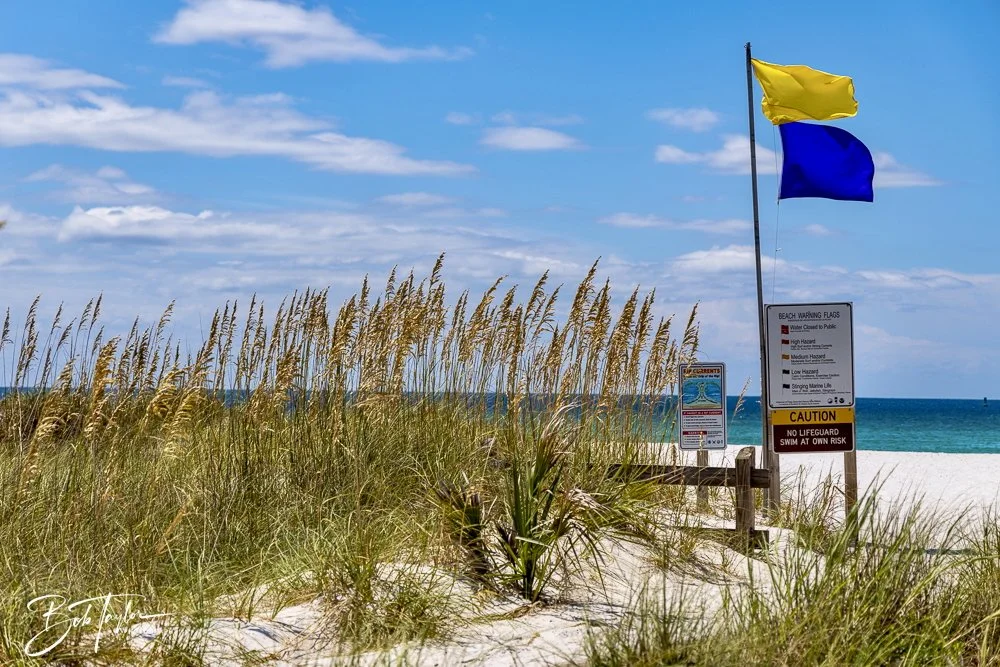 20240823-08-23-24 SASP -2.jpeg