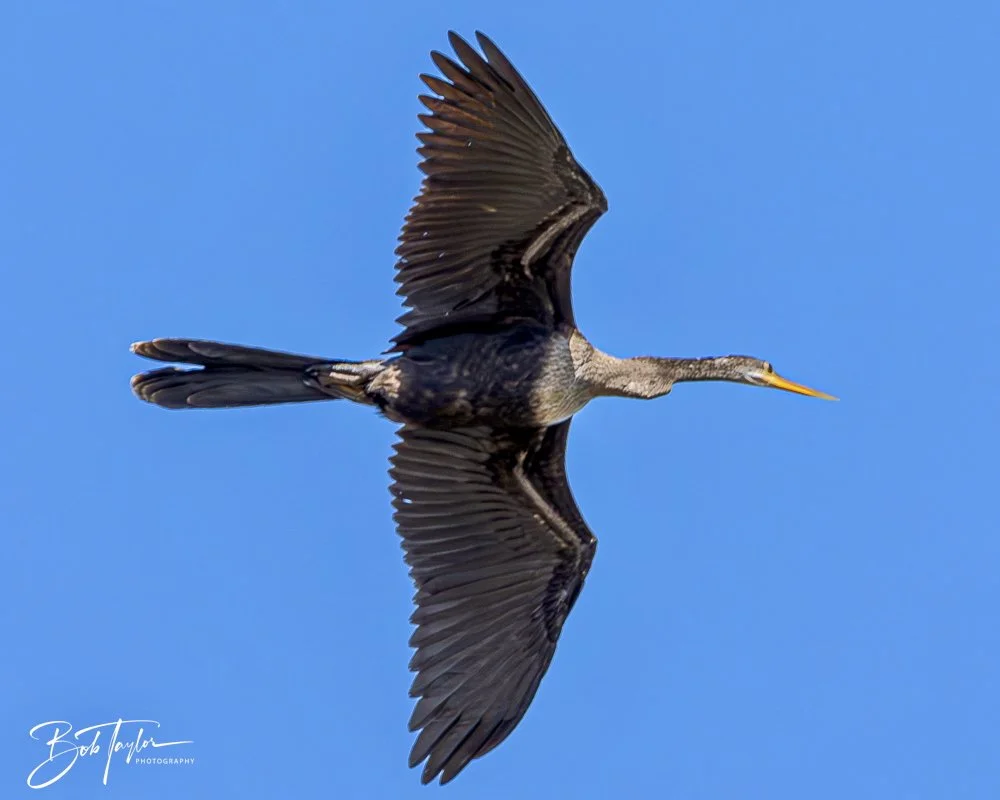 20241201-SASP 12-01-24 -3.jpeg