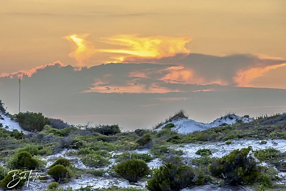 20240813-SASP Sunset at Pier -56.jpeg