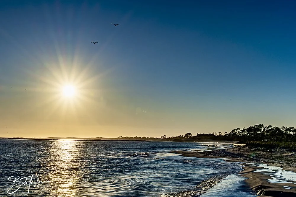 20241229-12-29-24 SASP -14.jpeg