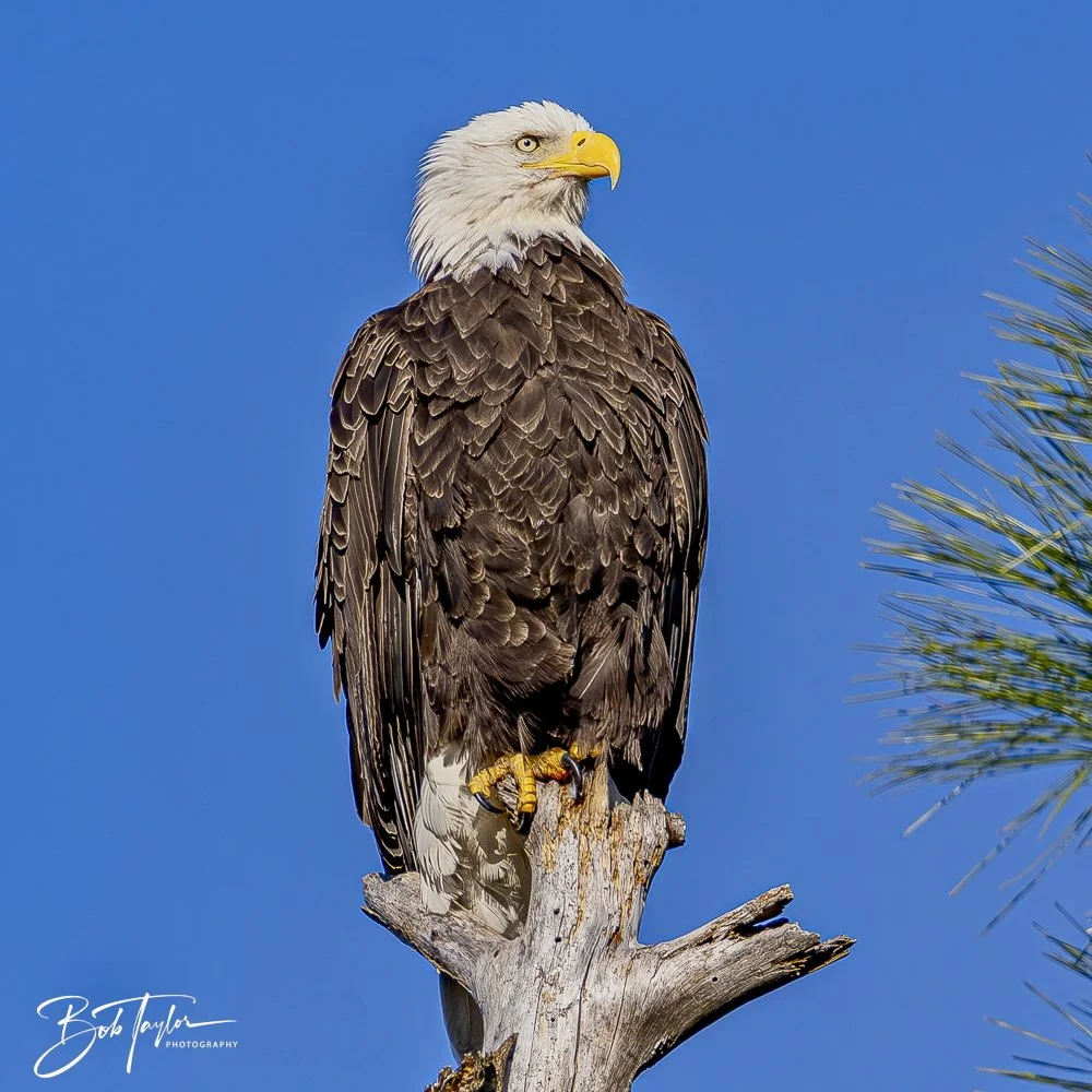 20241201-SASP 12-01-24 -31.jpeg