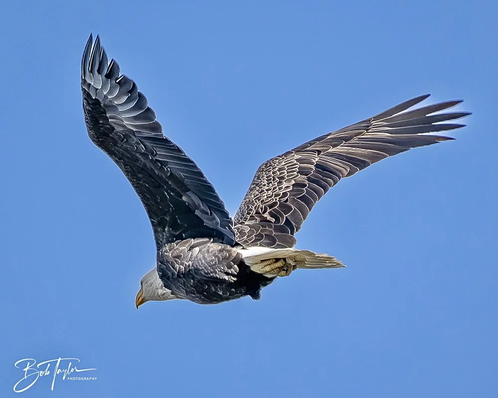 20241201-SASP 12-01-24 -38.jpeg