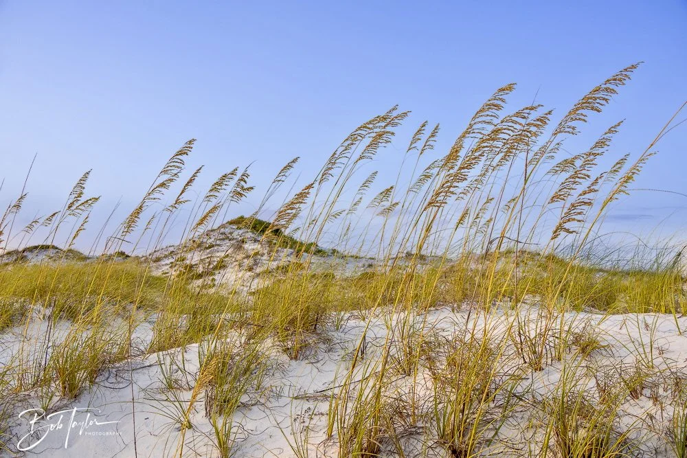 20240813-SASP Sunset at Pier -35.jpeg