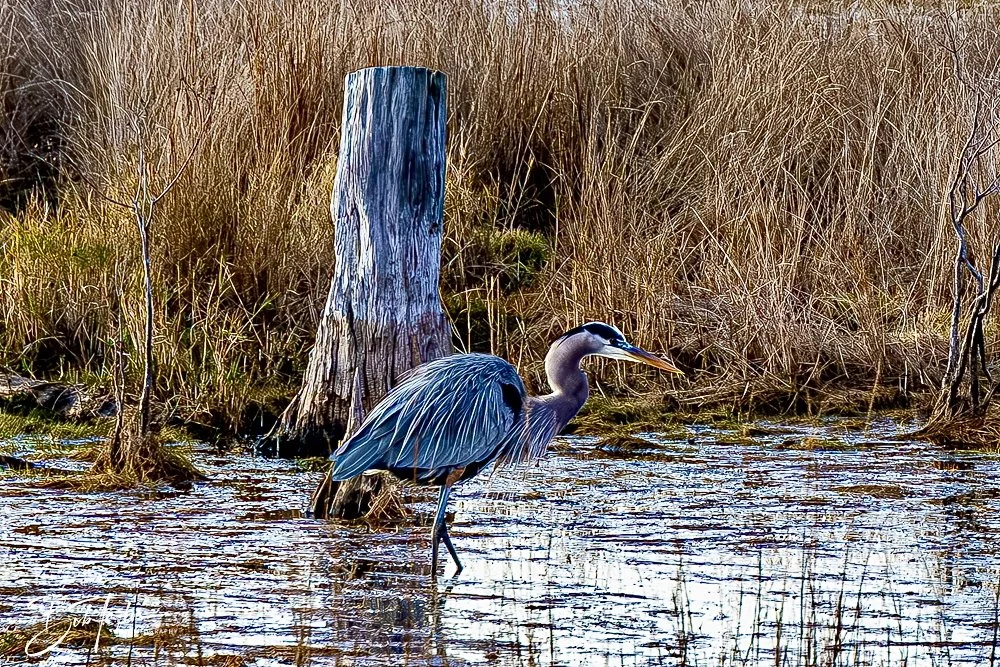 20241229-12-29-24 SASP -32.jpeg