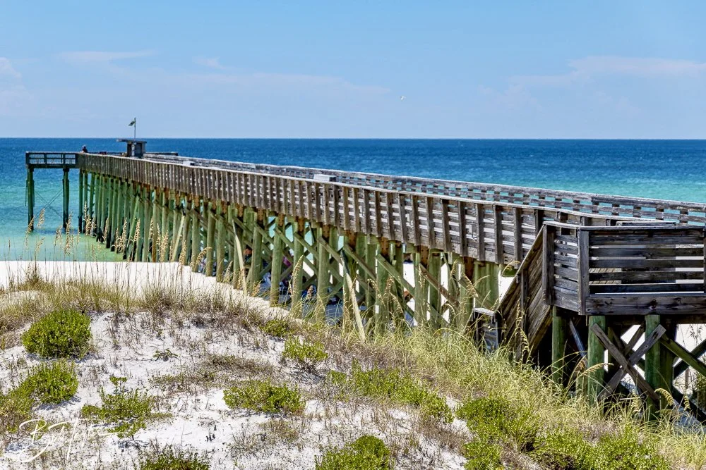 20240823-08-23-24 SASP -43.jpeg