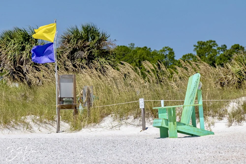 20240823-08-23-24 SASP -29.jpeg