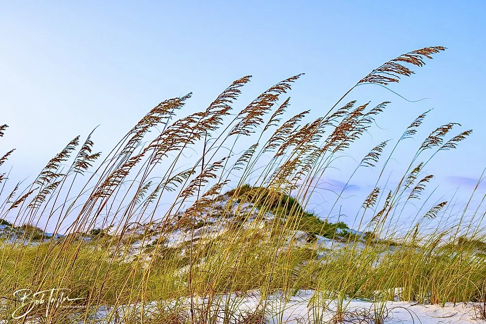 20240813-SASP Sunset at Pier -33.jpeg