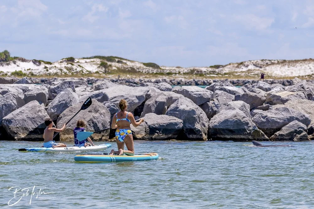 20240823-08-23-24 SASP -38.jpeg