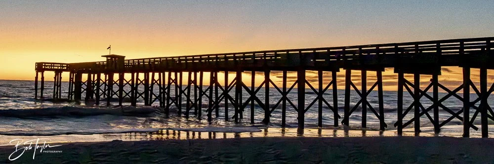 20241229-12-29-24 SASP -38.jpeg